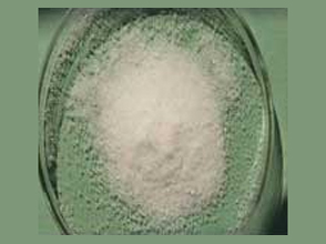 Di-Ammonium Phosphate - (DAP)